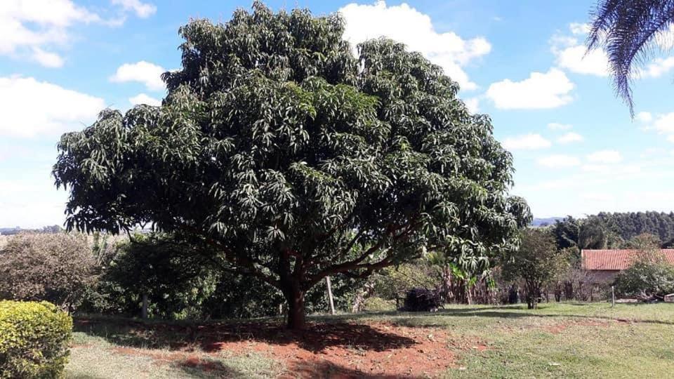 Sitio Em Atibaia - Sitio Beija-Flor Villa Bagian luar foto